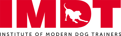 imdt