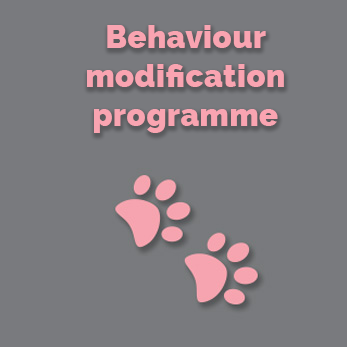 behaviour